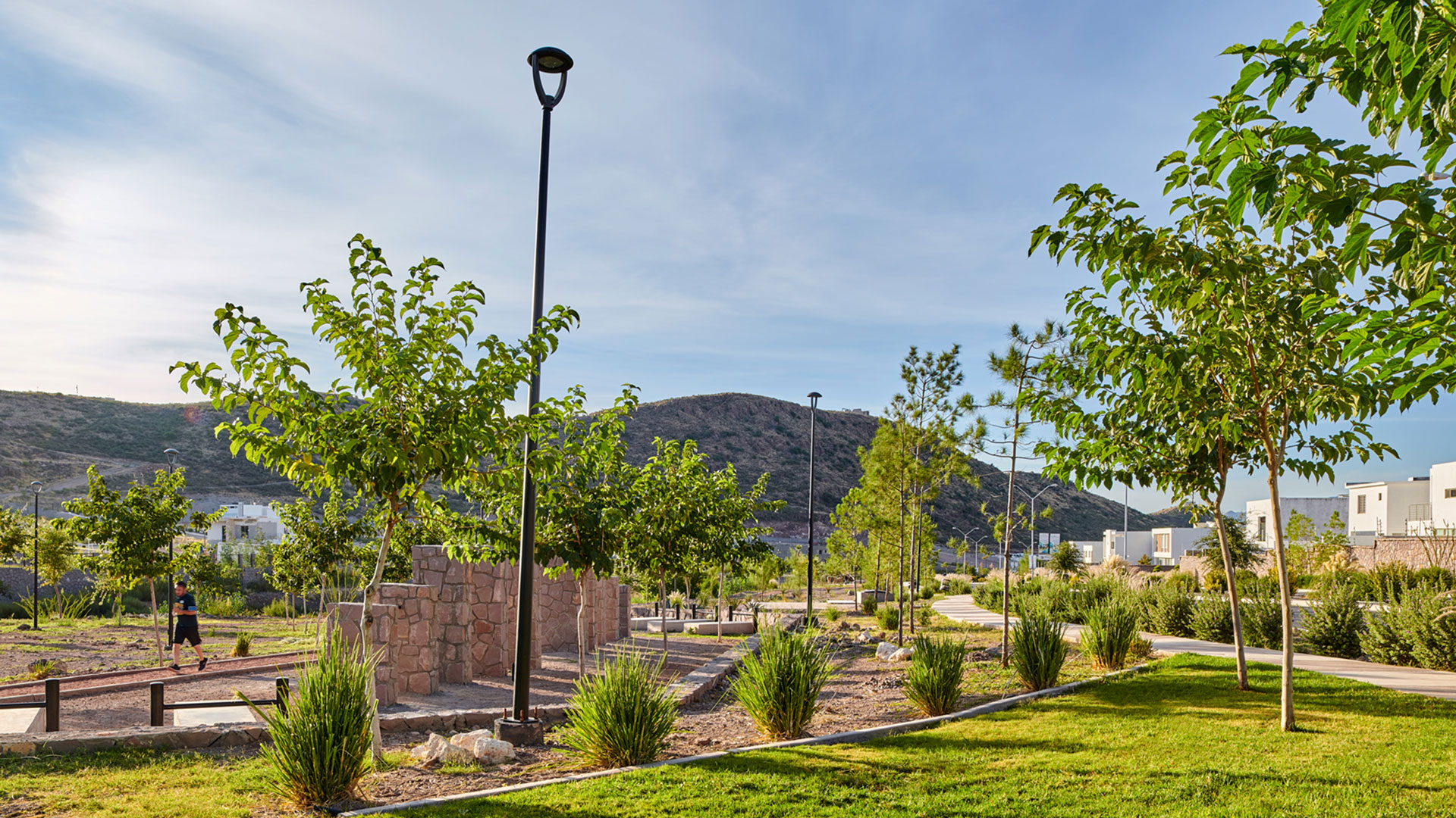 Parque con árboles , plantas pequeñas y pasto. Sale un hombre corriendo en el fondo, así como montañas y cerros a lo lejos.